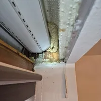 78f0fd74-9558-46ef-aa56-abacfb6b2217.png