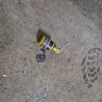 322539109_481601900761967_2542082441046819731_n.jpg