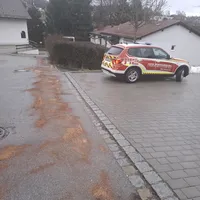 WhatsApp Image 2025-01-28 at 15.44.57.jpeg