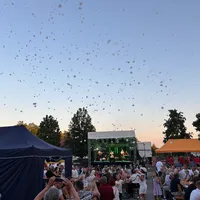 IMG_8454.png